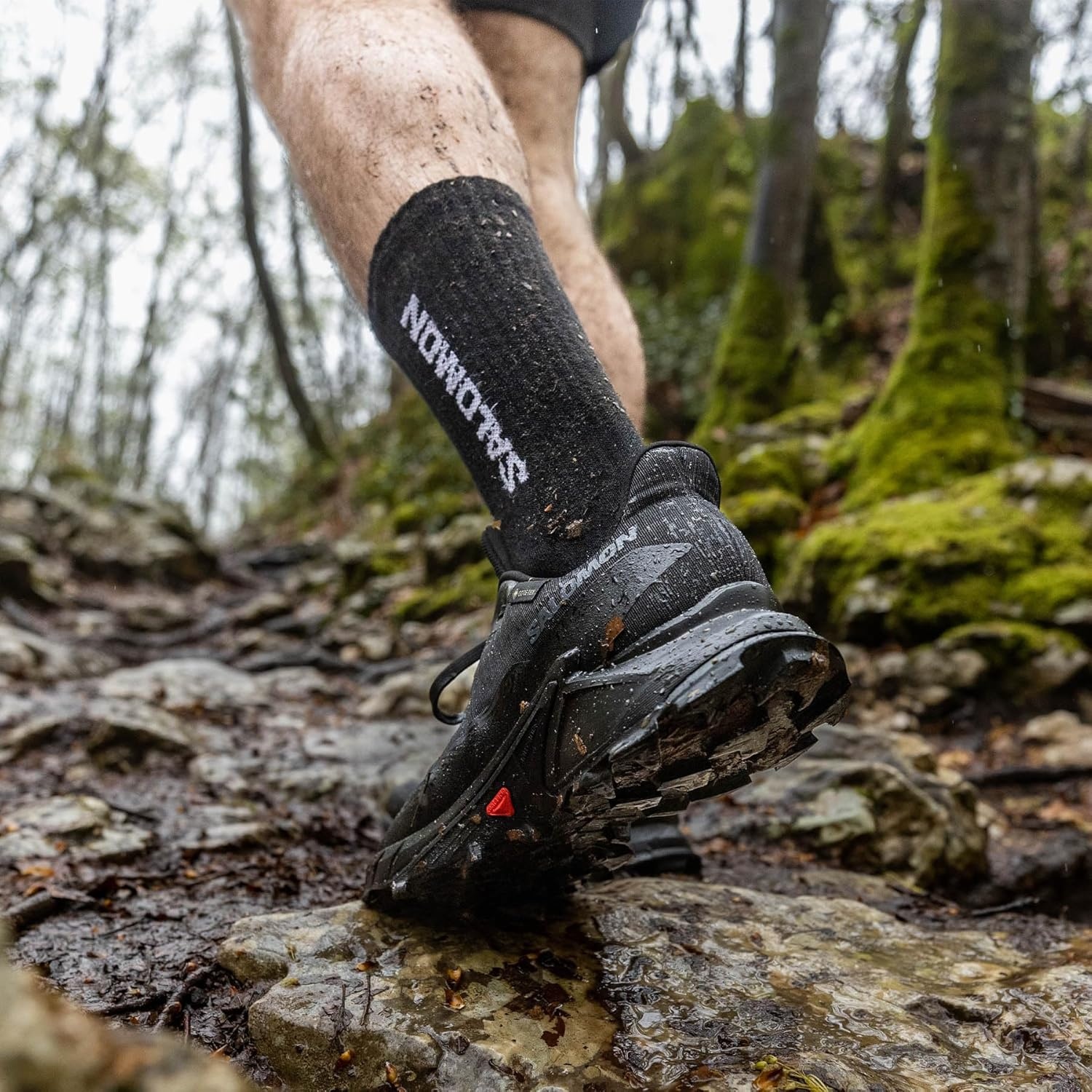image:imageSalomon Mens Alphacross 5 GoreTEX Trail Running ShoesBlack