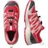 Salomon Kids Xa Pro V8 (Little Kid/Big Kid)(Rouge Red/Almond Milk/Flamingo Pink)