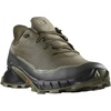 Salomon Men’s Alphacross 5 Gore-TEX Trail Running Shoes(Olive Night/Black/Deep Lichen Green)