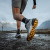 Salomon Men’s Speedcross GTX Waterproof Trail Running Shoes(Sharkskin/Black/Lemon)