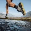 Salomon Men’s Speedcross Peak Trail Running Shoes(Quiet Shade/Black/Sulphur Spring)