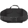 Salomon Trailblazer Belt, 4L Lightweight Hiking Waist Pack for Men & Women, Hip Belt Storage for Trekking, Biking & Walking Outdoors – BLACK/ALLOY – NS(BLACK / ALLOY)