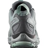 Salomon Women’s XA PRO 3D Gore-Tex Waterproof Trail Running Shoes(Lead/Stormy Weather/Meadowbrook)