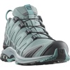 Salomon Women’s XA PRO 3D Gore-Tex Waterproof Trail Running Shoes(Lead/Stormy Weather/Meadowbrook)