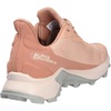 Salomon Women’s XA PRO 3D Gore-Tex Waterproof Trail Running Shoes(Sirocco Rainy Day Mocha Mousse)