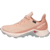 Salomon Women’s XA PRO 3D Gore-Tex Waterproof Trail Running Shoes(Sirocco Rainy Day Mocha Mousse)
