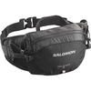 Salomon Trailblazer Belt, 4L Lightweight Hiking Waist Pack for Men & Women, Hip Belt Storage for Trekking, Biking & Walking Outdoors – BLACK/ALLOY – NS(BLACK / ALLOY)