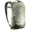 Salomon Unisex Trailblazer 20, Hiking & Trekking Backpack, 20-Liter – Black / Alloy – NS(Wrought Iron/Sedona Sage)