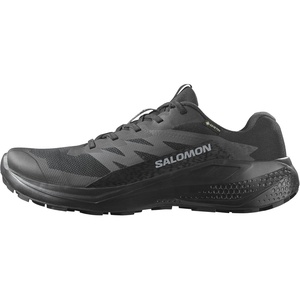 Salomon Men’s Alphaglide Gore-Tex Waterproof Trail Running Shoes(Black/Asphalt/Black)