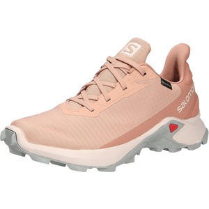 Salomon Women’s XA PRO 3D Gore-Tex Waterproof Trail Running Shoes(Sirocco Rainy Day Mocha Mousse)